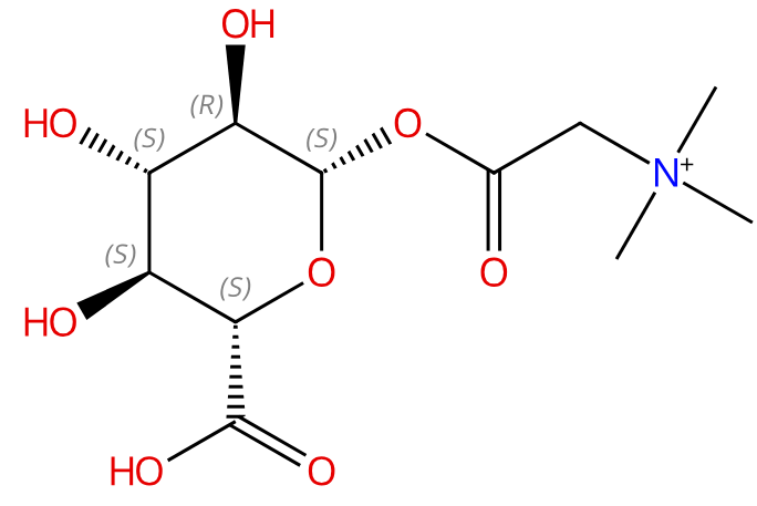 Betaine Glucuronate
